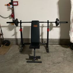 Bench/Squat Rack with weight plates and bar
