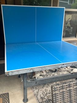 Prince Ping pong table