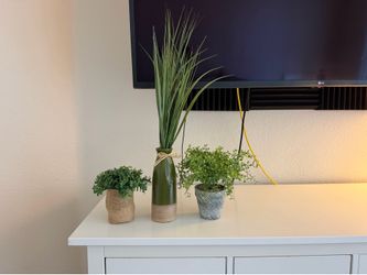 Plant decorations