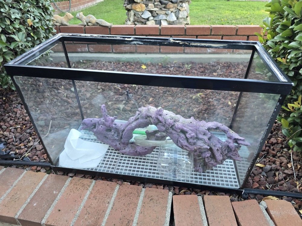 Free Aquarium With Accessories And Pump