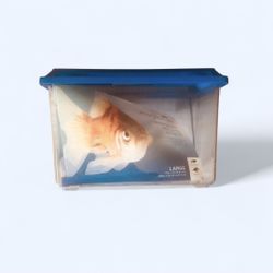 Temporary Fish Holding Habitat