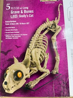 5 Ft Long Grave & Bones LED Skelly's Cat Halloween decoration