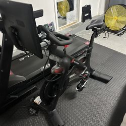 Peloton 