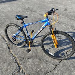 Mountain Bike