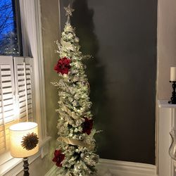 Christmas Tree (or Lighted Tree)