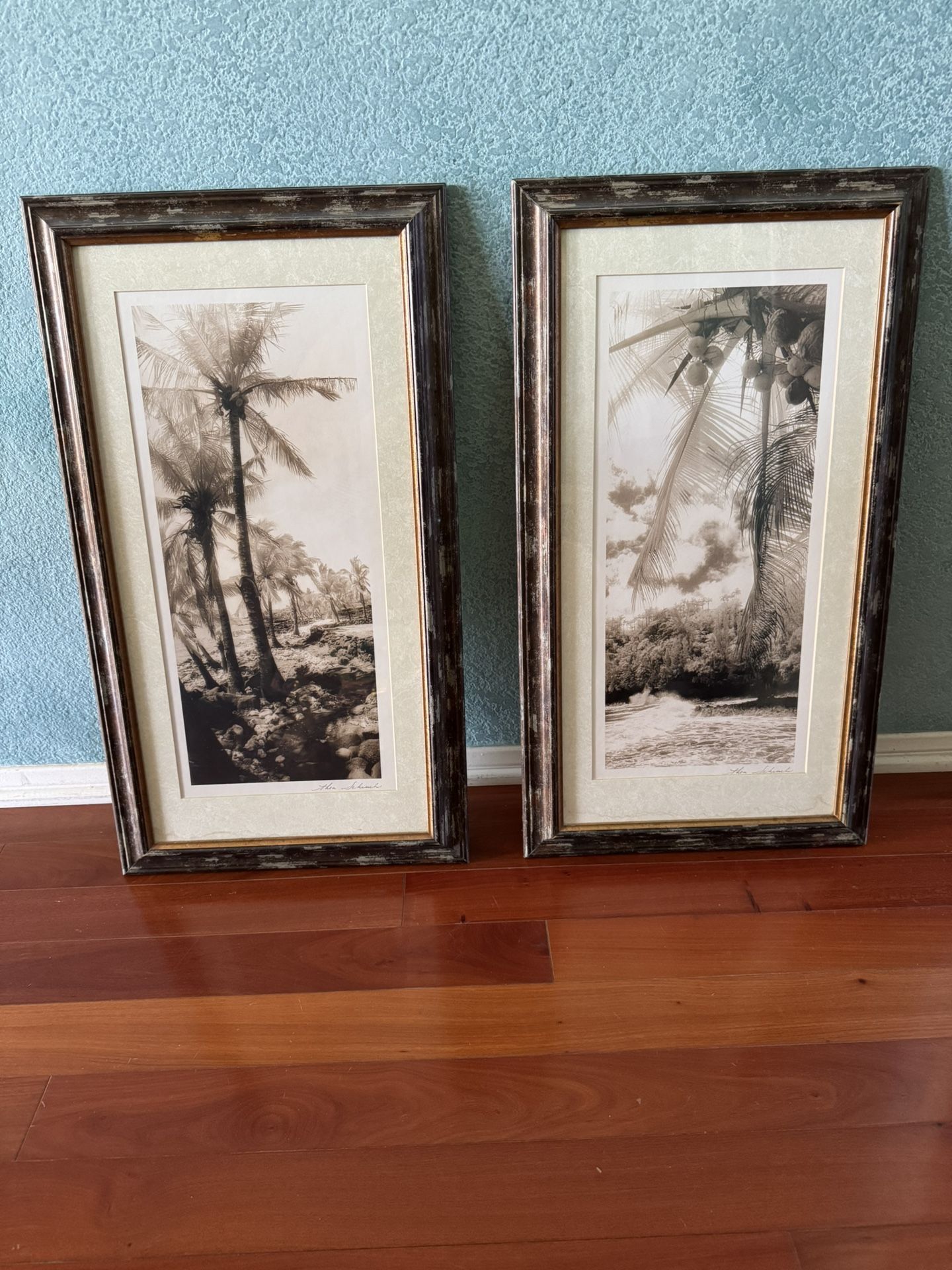 Set Of Tropical Beach Palm Tree Pictures 12” X 24” Black & White Framed
