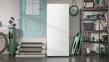 Hisense 13.6 cu. ft. Garage Ready Frost Free Convertible Upright Freezer