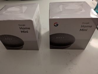 GOOGLE HOME MINI GRAY!