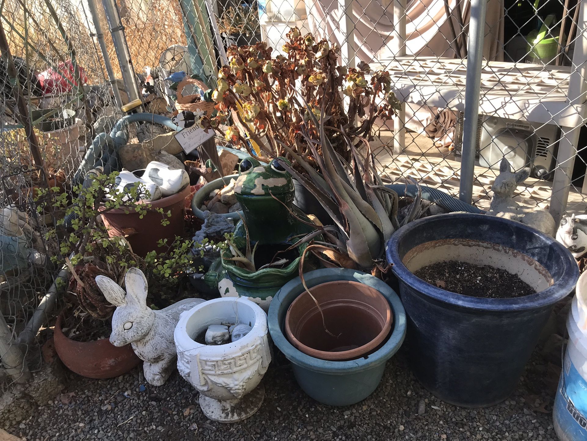 Plants,planting Pots,fountain,and More All Must Go