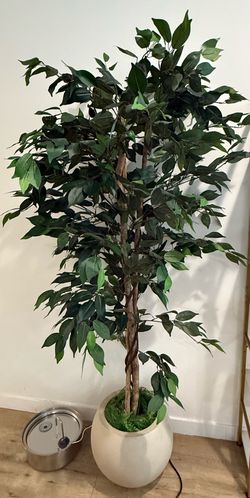 Faux Fig Tree and Pot Holder
