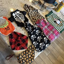 Assorted Lot Of Small Dog Clothes 