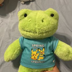 Build a Bear Frog Plushie with Pikachu Shirt