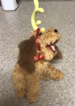 Dr Seuss Grinch Max the dog 7.5