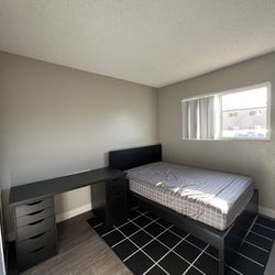 Bed Frame, Desk, And Carpet 