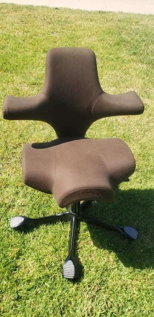 Hag Capisco Desk Chair