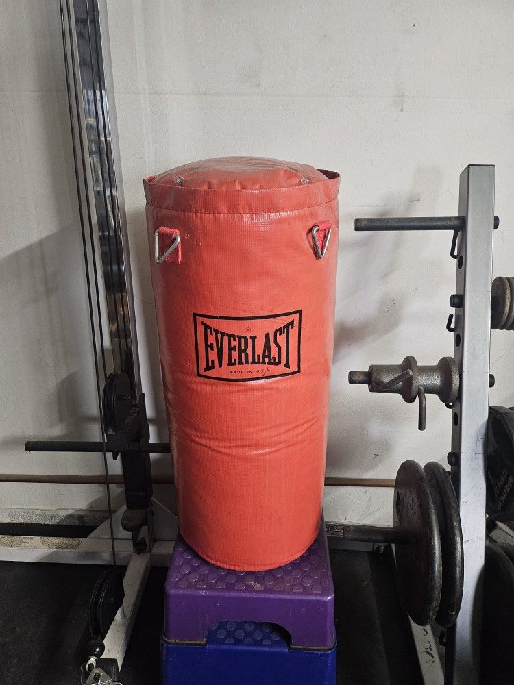 Everlast Punching/Kick Bag