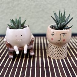Face Planter -Smiling Succulents (2) 