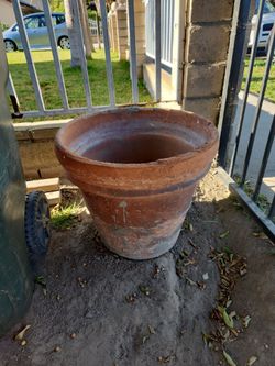 XL Terracota pot