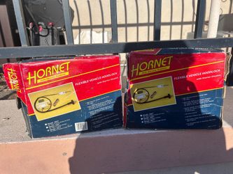 Hornet auto security system