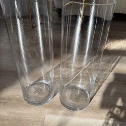 West Elm Big Glass Vases (2)