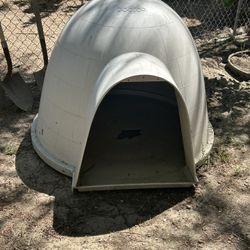 Large Dog
