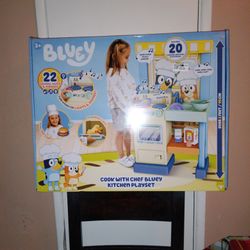 Bluey Kitchen 