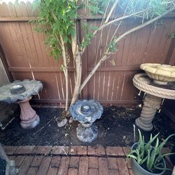 3 Fountains/bird Baths