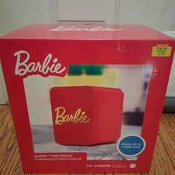 Mini Fridge 
