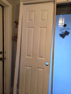 Interior door 24x80"