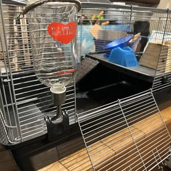 Complete Hamster Cage Setup With Accs 