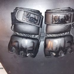 Venom Boxing Gloves
