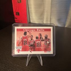 Chicago Bulls 1992 Skybox Card