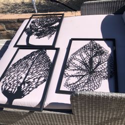 Midcentury Leaf Metal Pictures