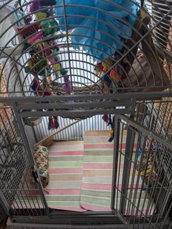 Parrot Cage And Toys