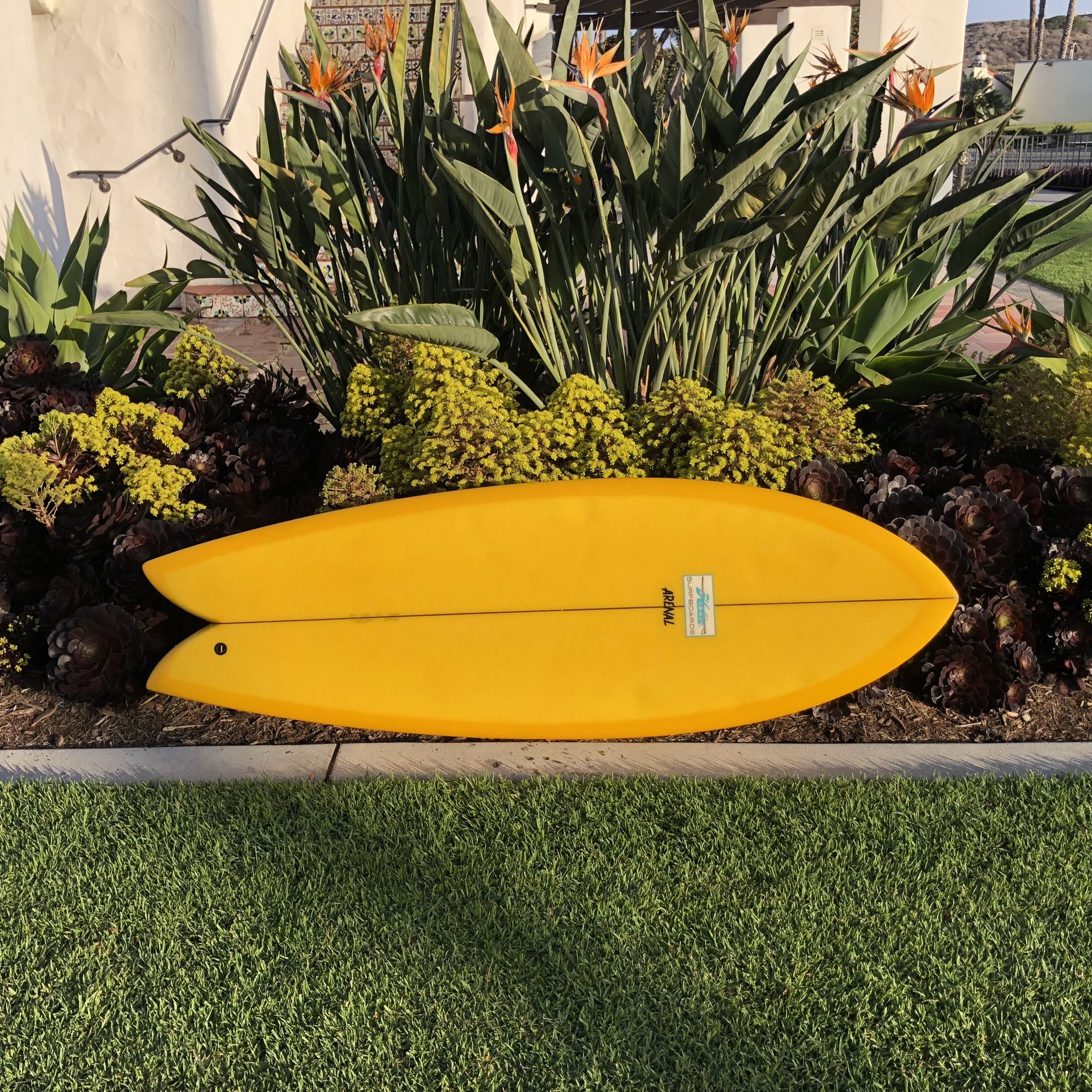 Surfboard Fish Hobie Arenal 5’6”