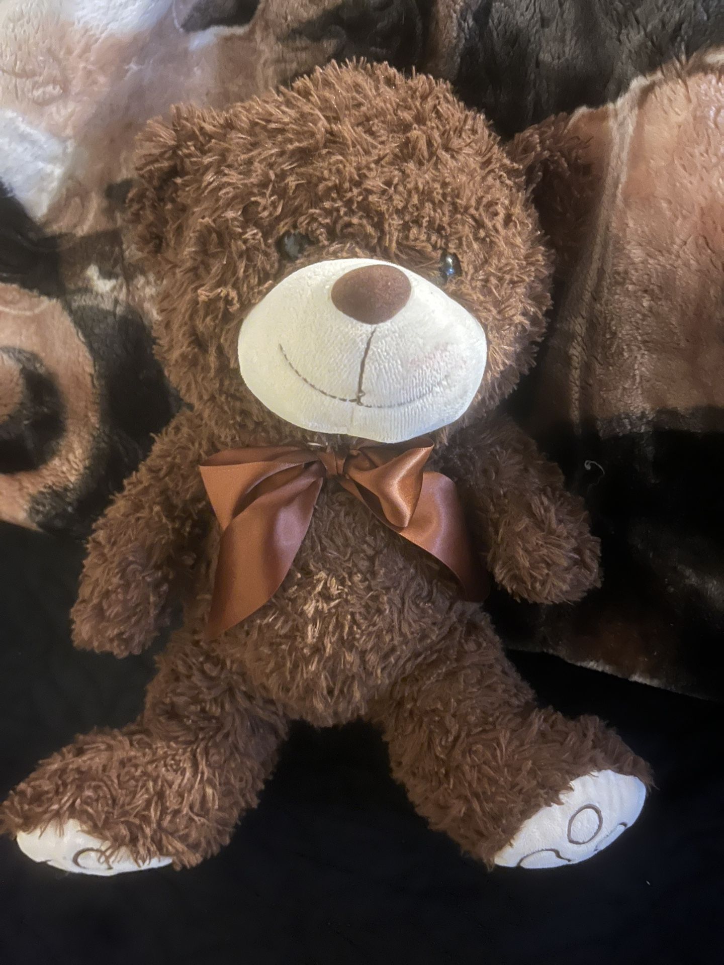 Teddy bear(Bio)