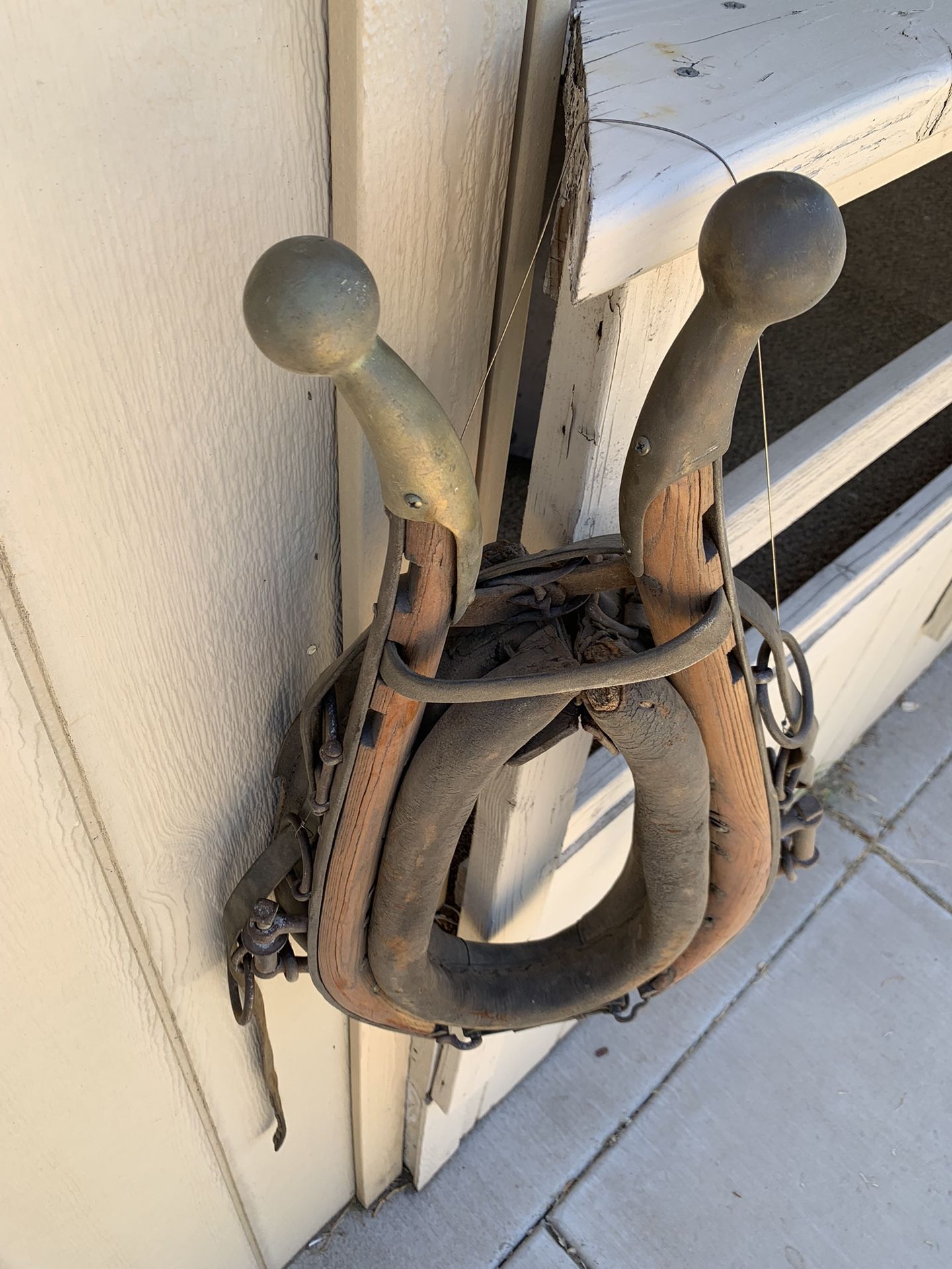 Collar And Haynes Plus Latigo Harness