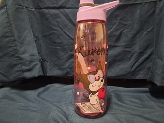 Kuromi water bottle