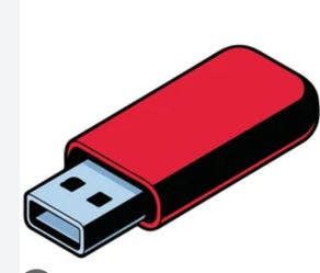 USBs memorias diferentes géneros