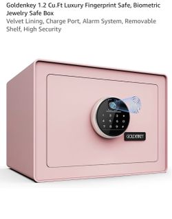 Goldenkey Biometric Fingerprint Safe Box Pink