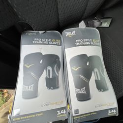 Everlast Boxing Gloves