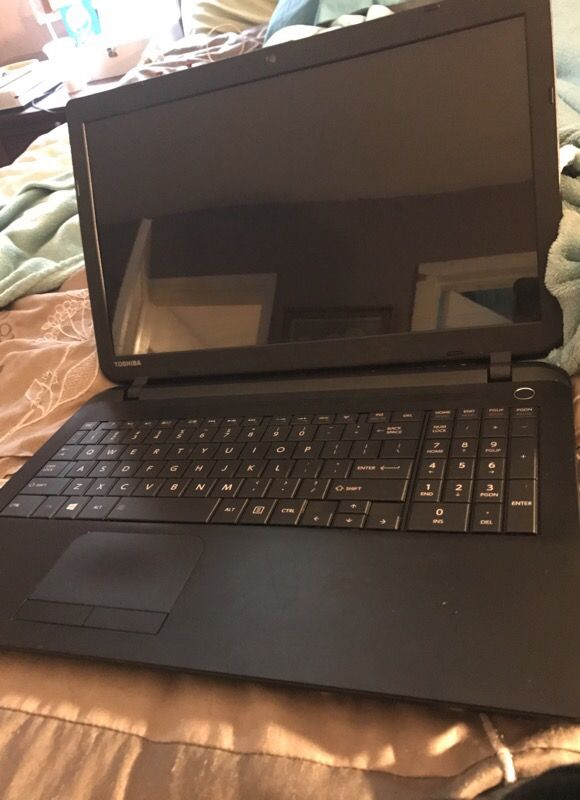 Toshiba laptop satellite c55b5202