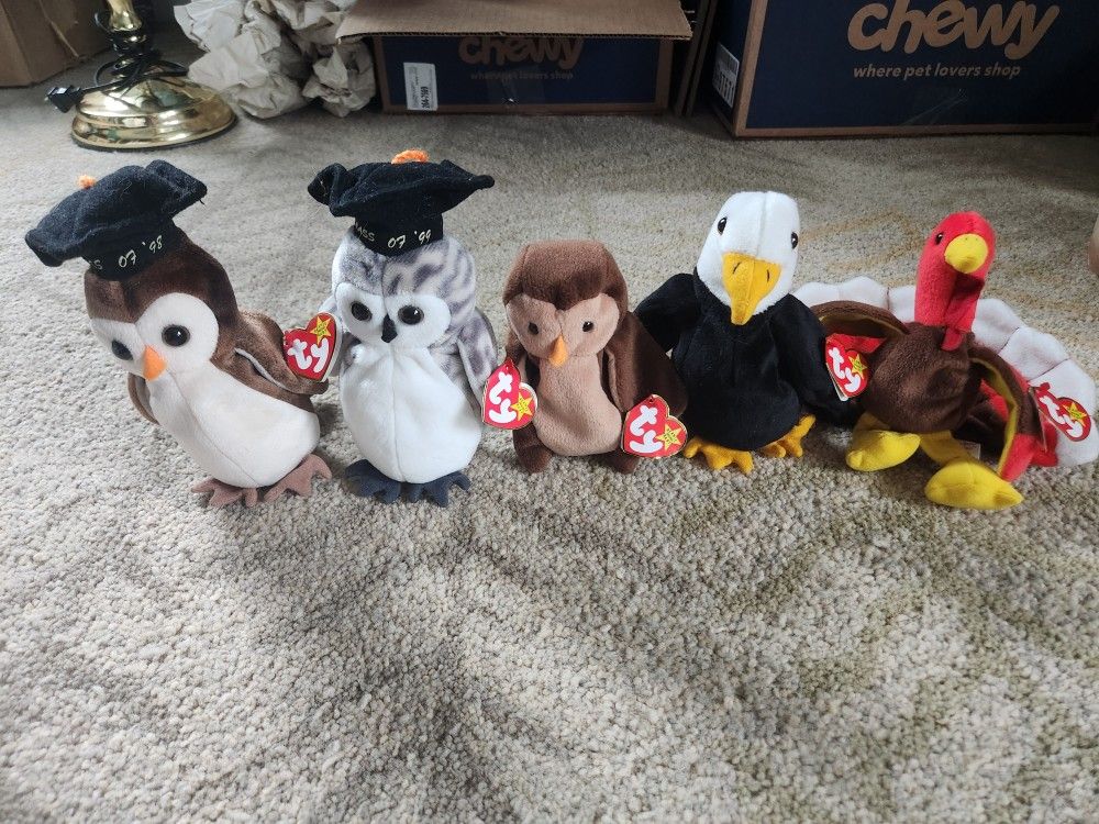 Beanie Babies - Lot of 5 Birds