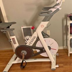 Home Workout Bike