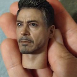 Hot Toys Tony Stark Head Sculpt (Ask For Shipping)