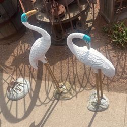 Garden decoración