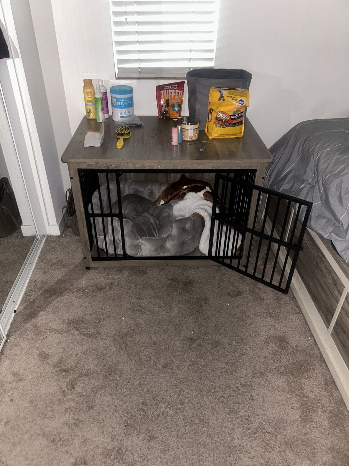 Dog Cage For Sale!