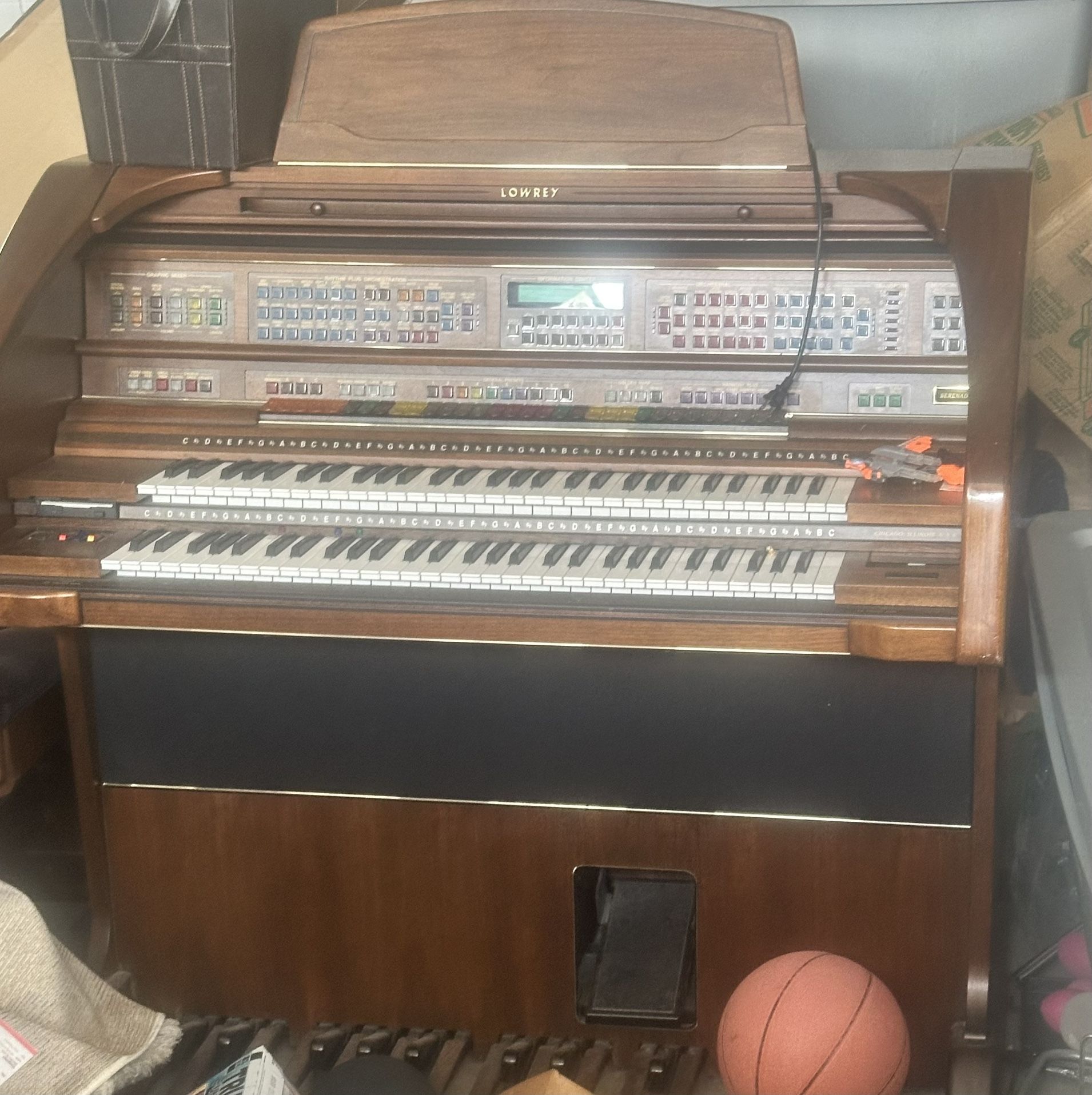 Free Organ