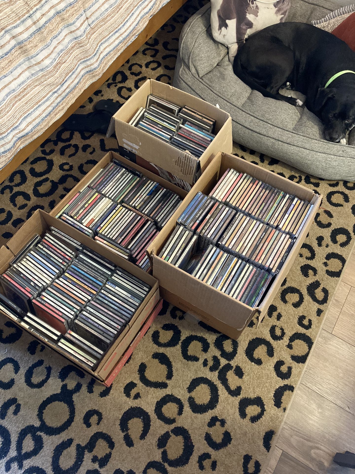 CD Collection Over 200+ CDs
