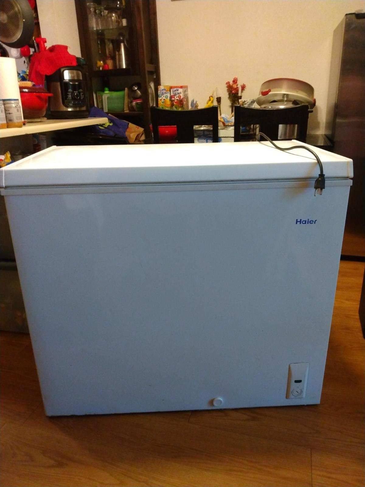 Costco Upright Freezer